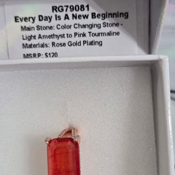 RG79081 EVERY DAY IS A NEW BEGINNING - Picture 2 of 2